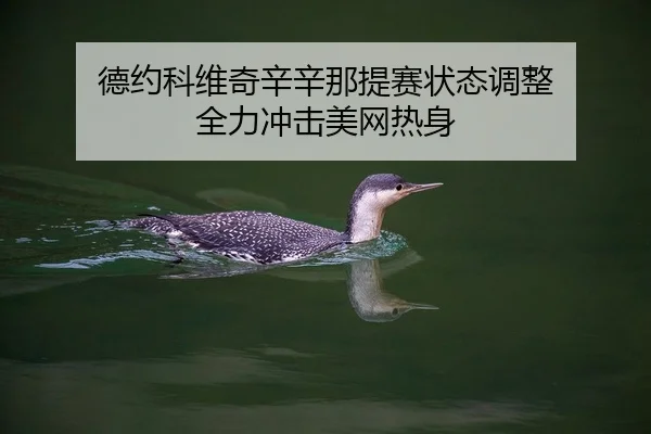 de-yue-ke-wei-qi-xin-xin-na-ti-sai-zhuang-tai-tiao-zheng-quan-li-chong-ji-mei-wang-re-shen-3-121.jpg