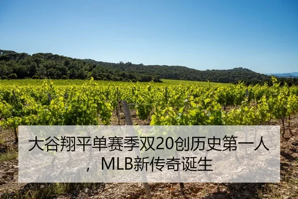 大谷翔平单赛季双20创历史第一人，MLB新传奇诞生
