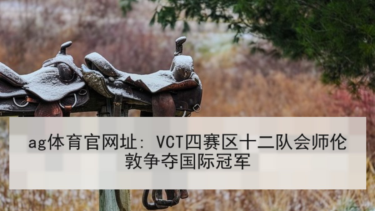 ag体育官网址: VCT四赛区十二队会师伦敦争夺国际冠军